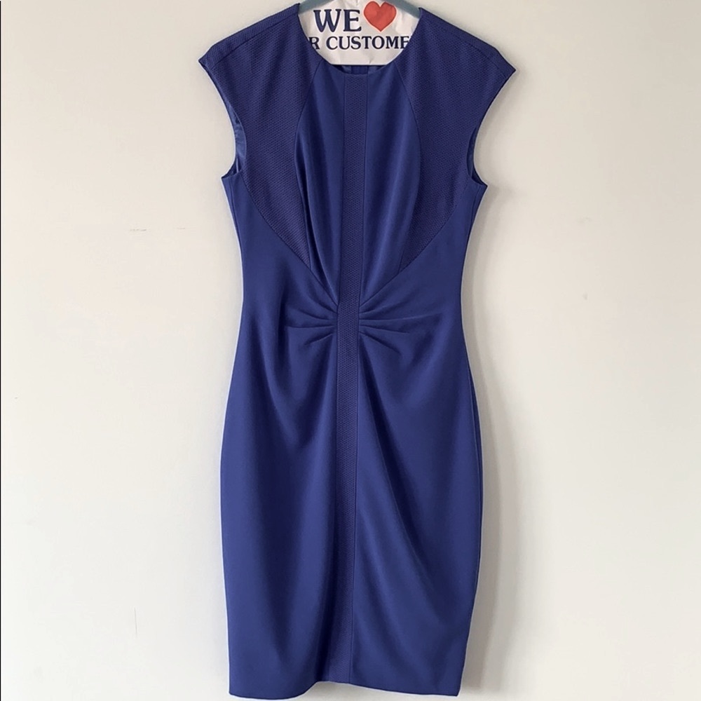 Ted Baker London Blue dress